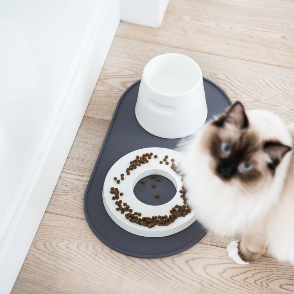 Base Feeder Placemat