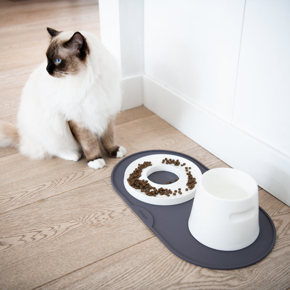 Base Feeder Placemat