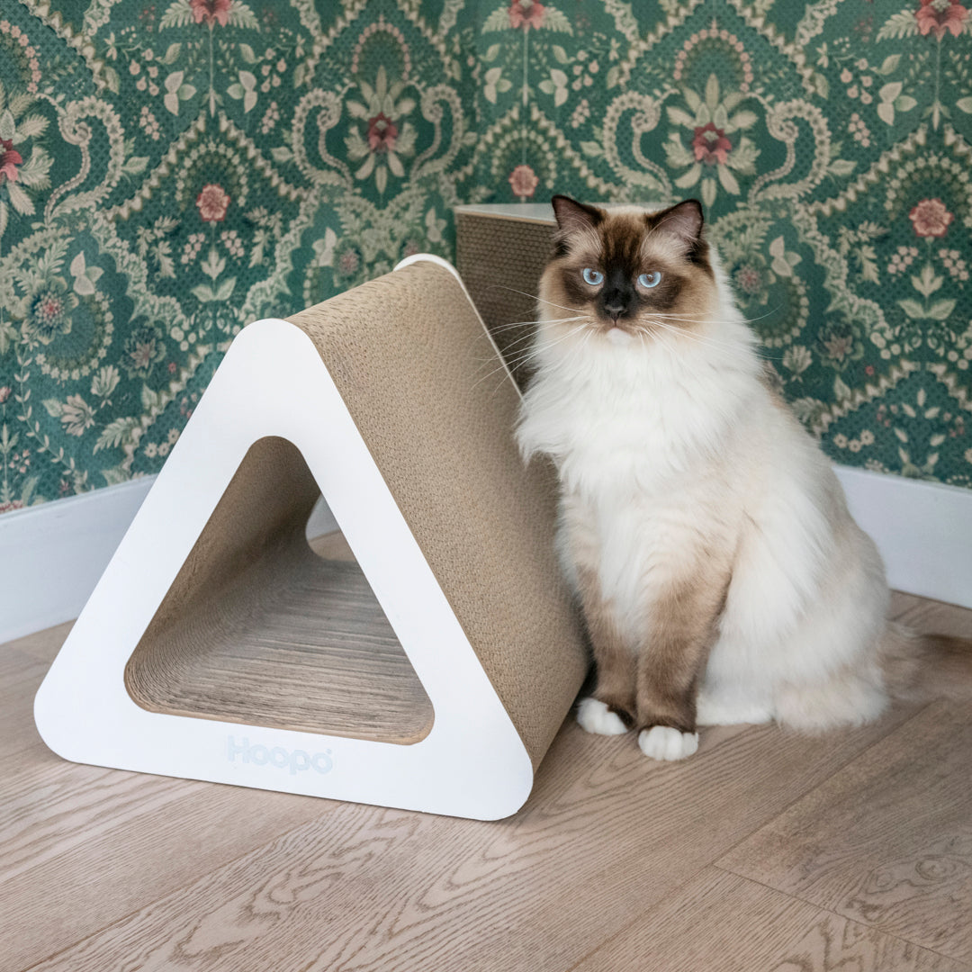 Triangle Scratcher