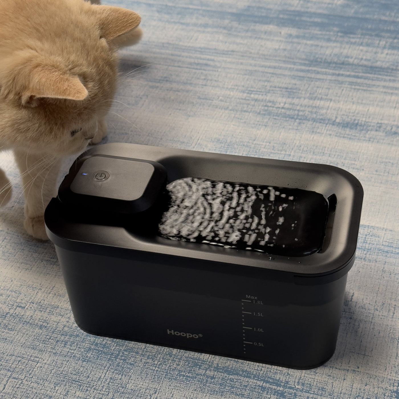 Hydr Water Fountain