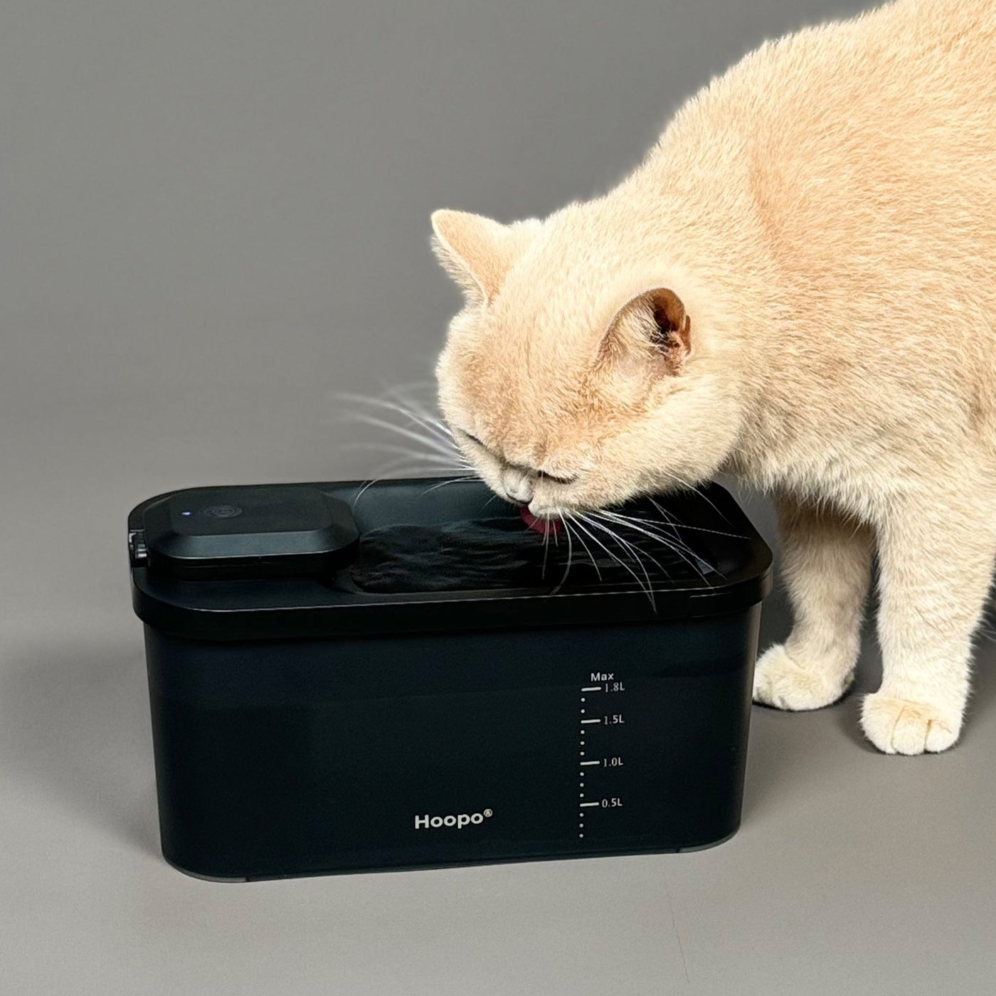 Hydr Water Fountain