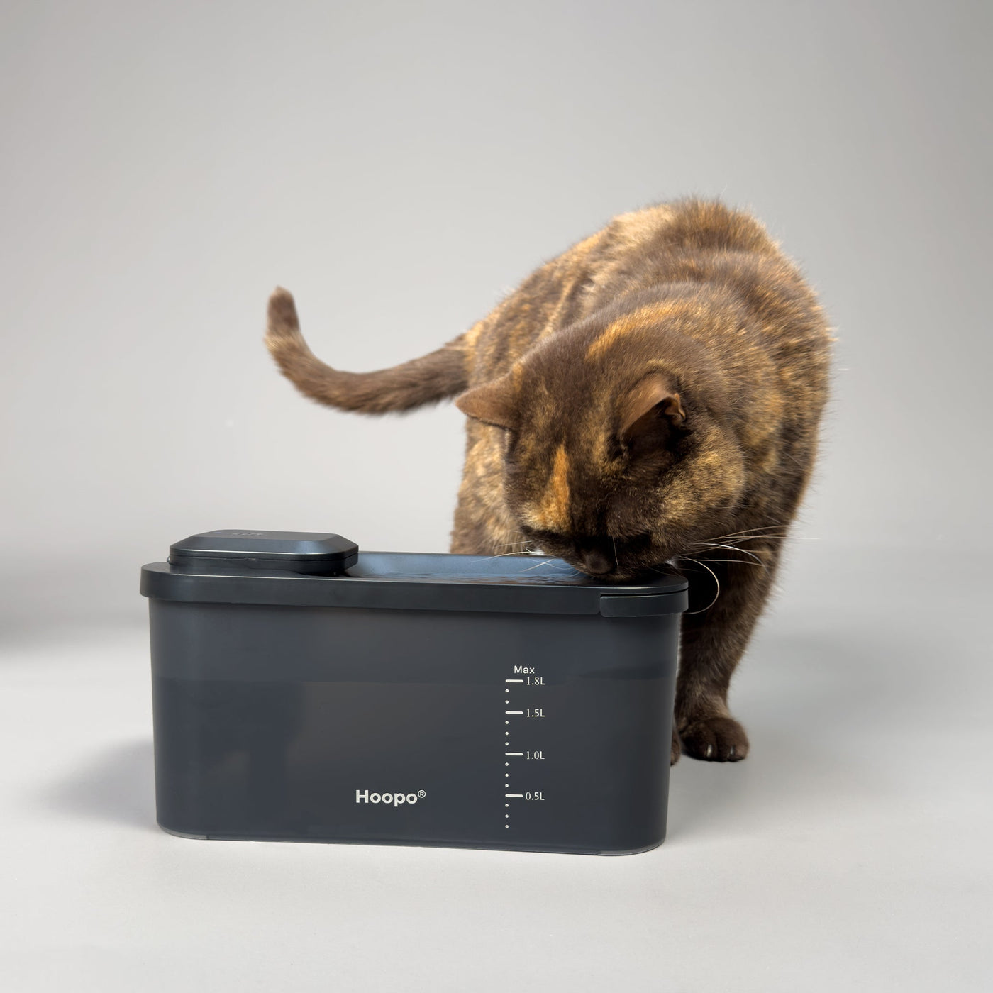 Hydr Water Fountain