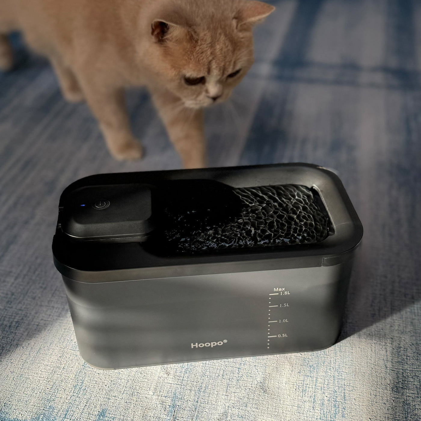 Hydr Water Fountain