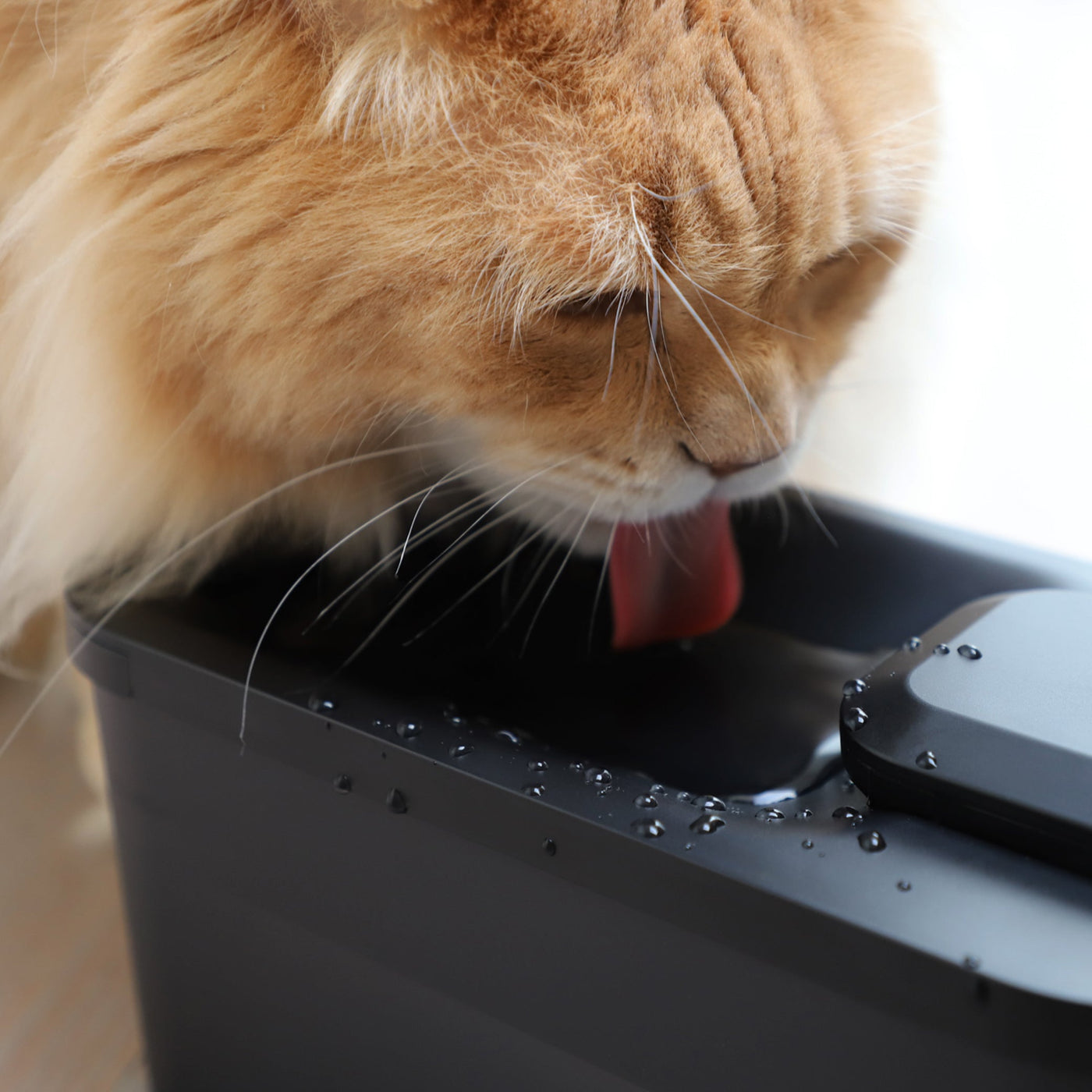 Hydr Water Fountain