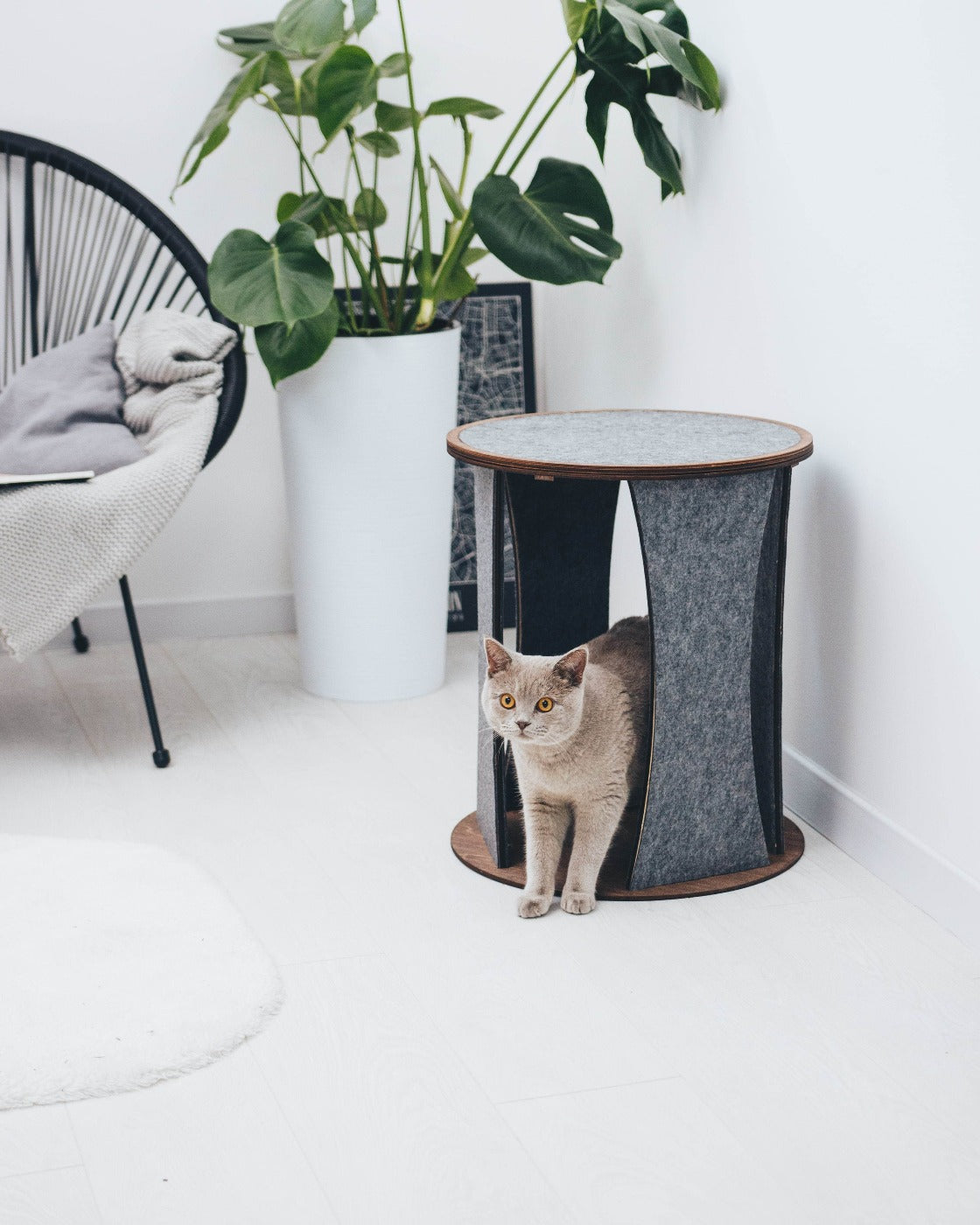 Cat Tree Chair