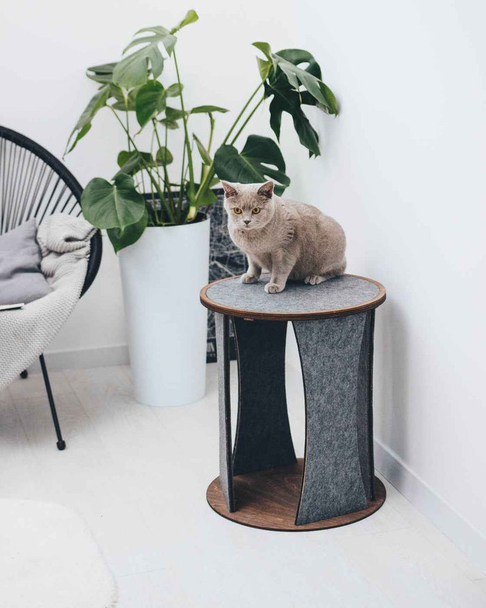 Cat Tree Chair