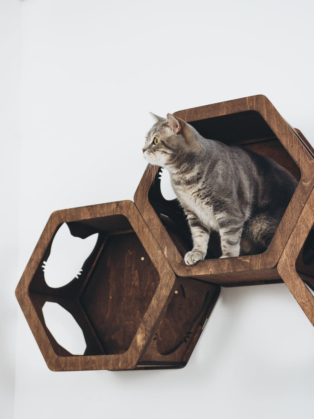 Cat Furniture Shelf White