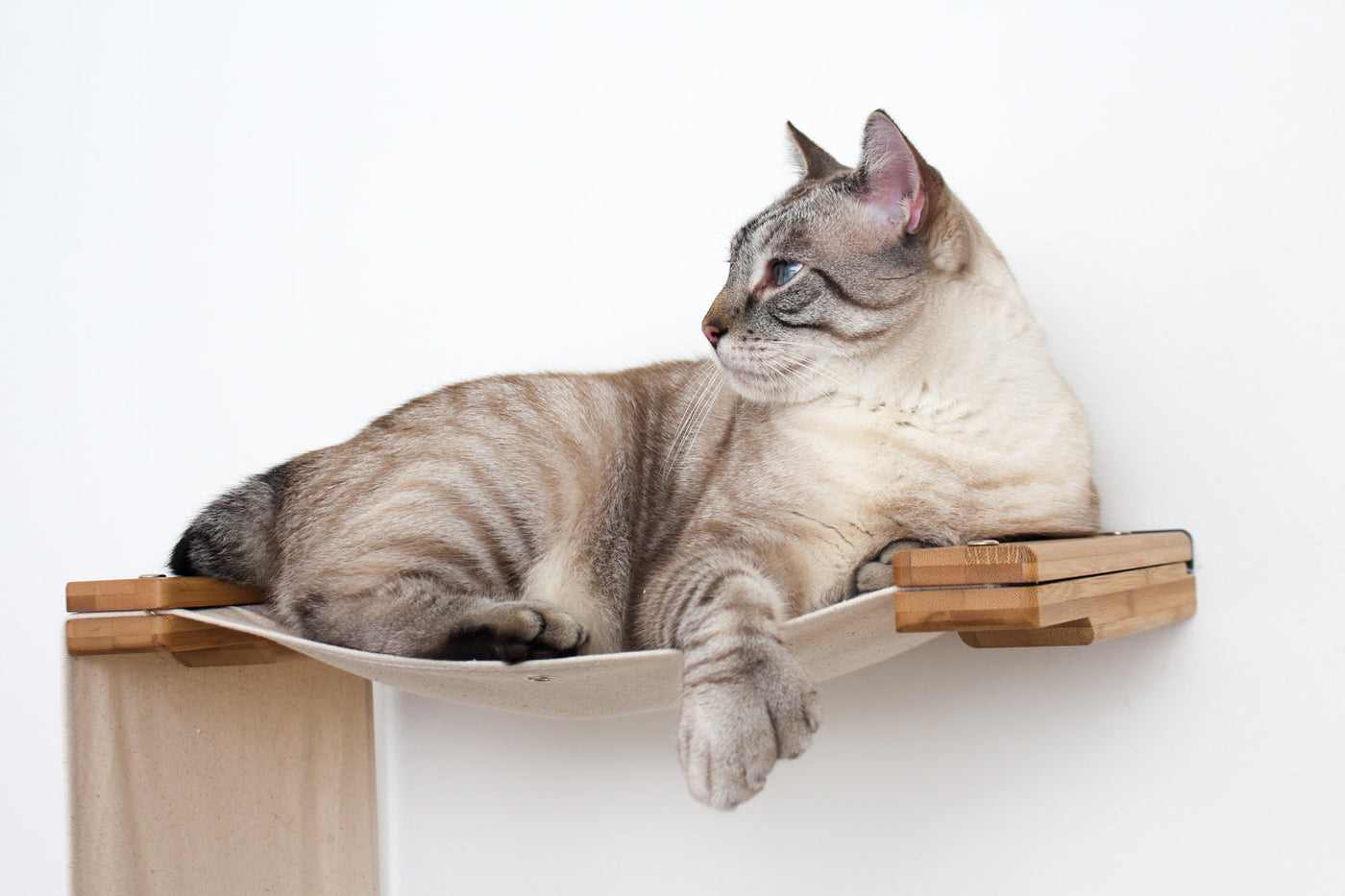 The Double Decker - Cat Hanging Bed Set