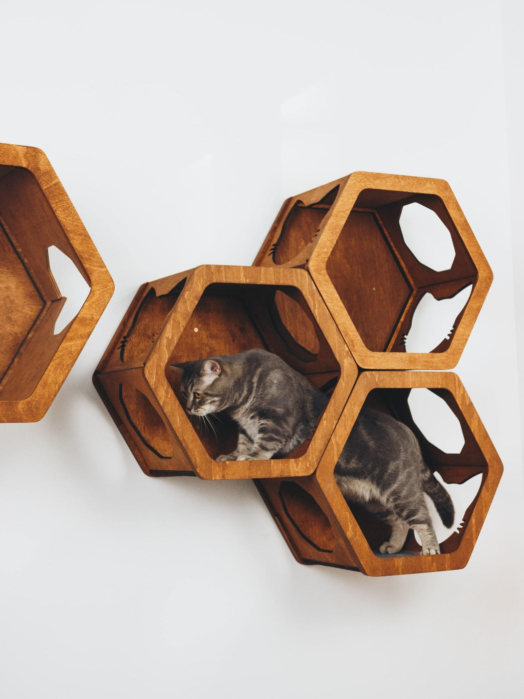 Cat Scratcher Set