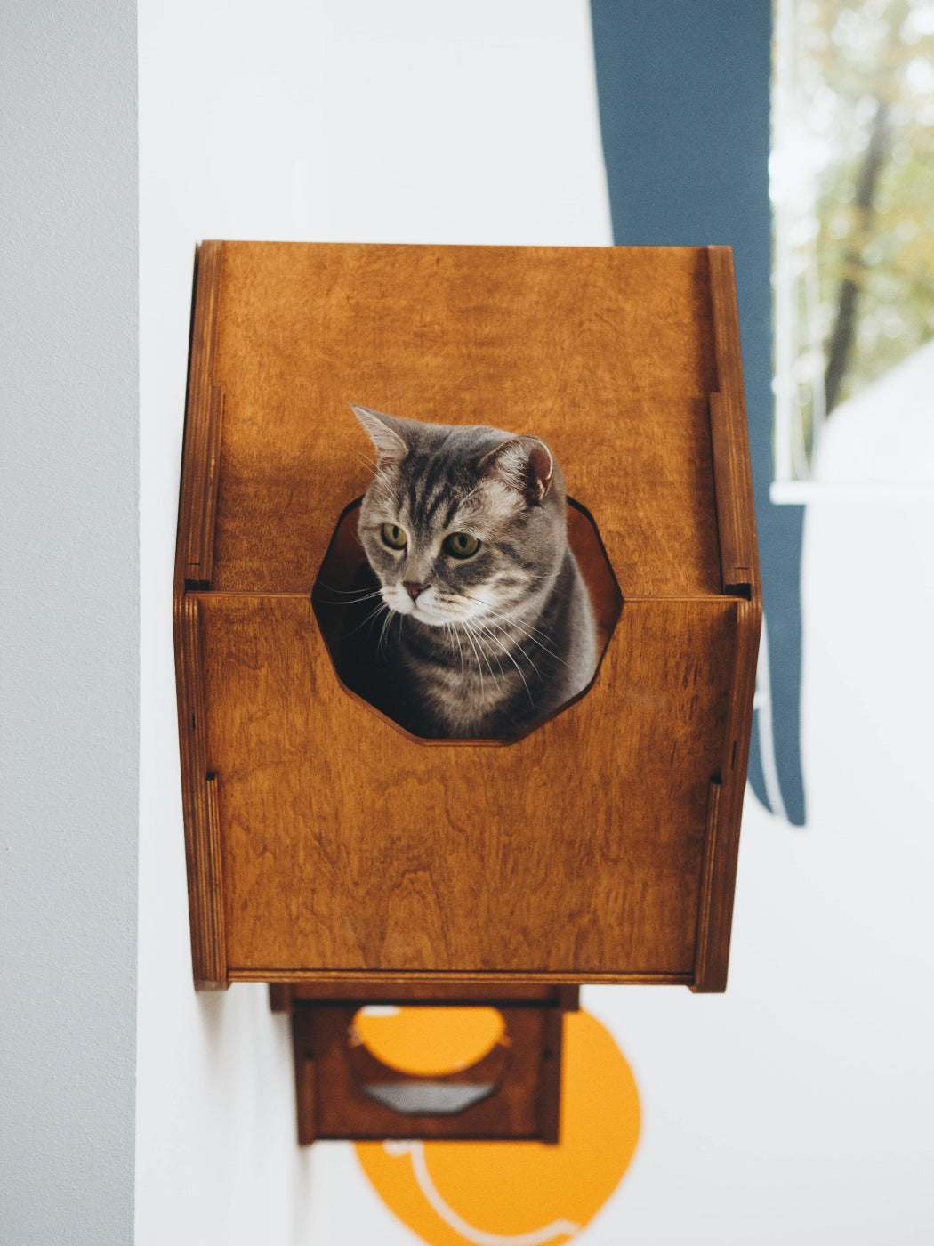 Cat Scratcher Set