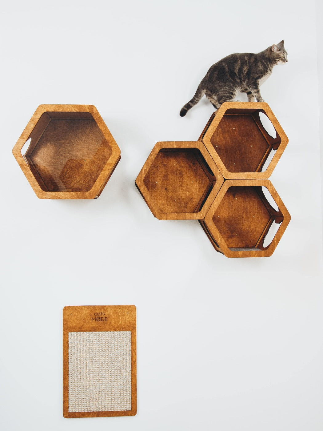 Cat Scratcher Set