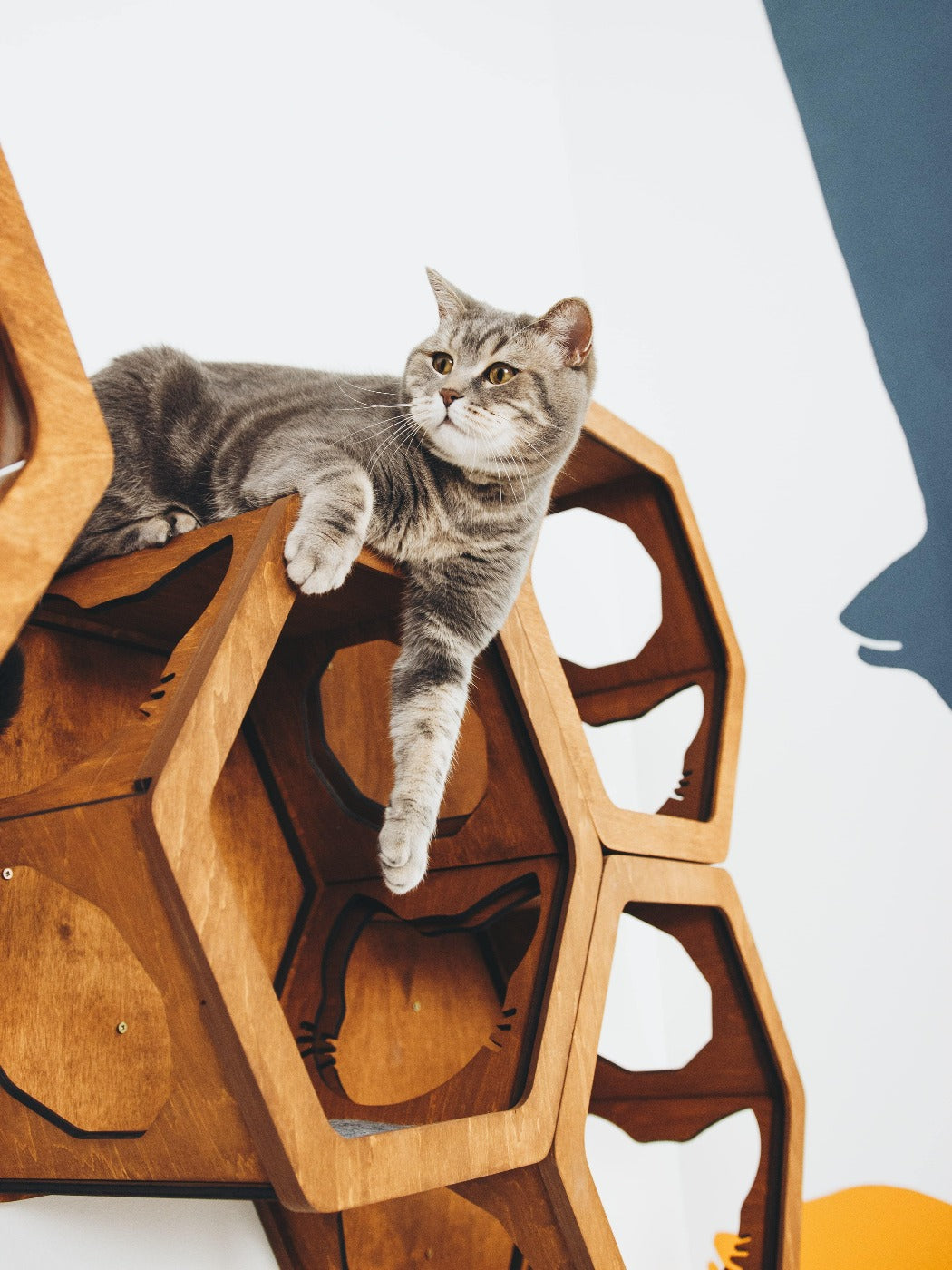 Cat Furniture Shelf Grey