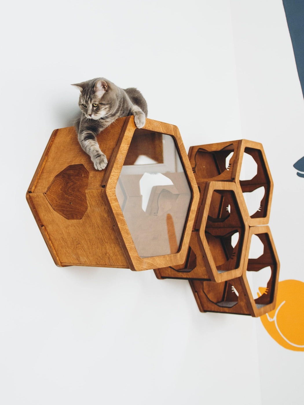 Cat Scratcher Set