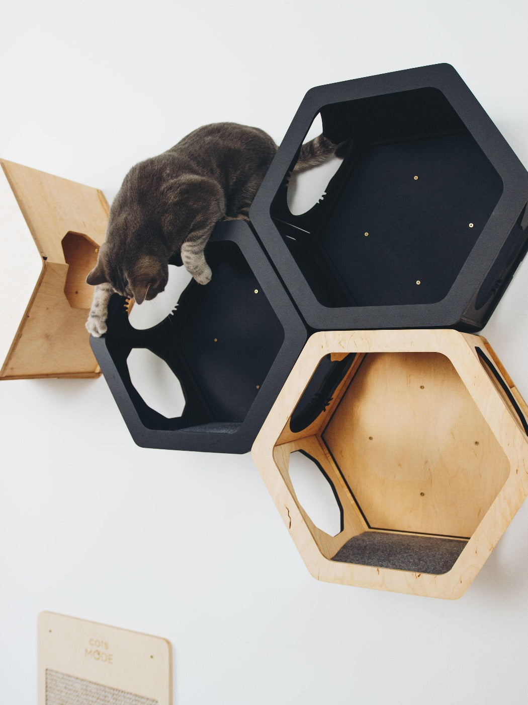 Light & Black Mixed Cat Set