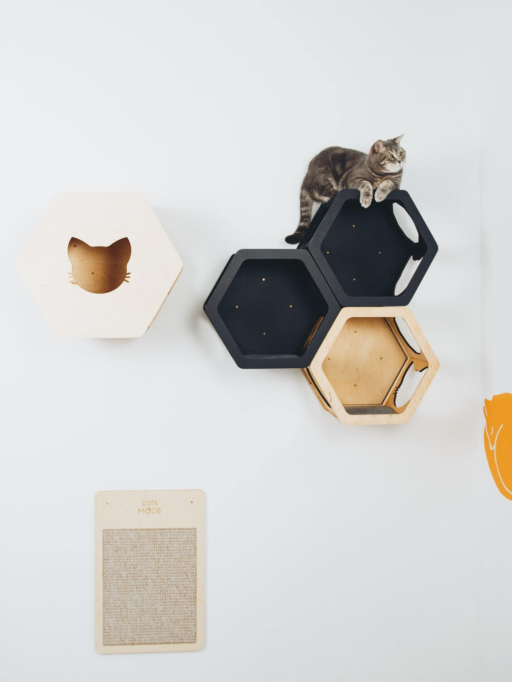 Light & Black Mixed Cat Set