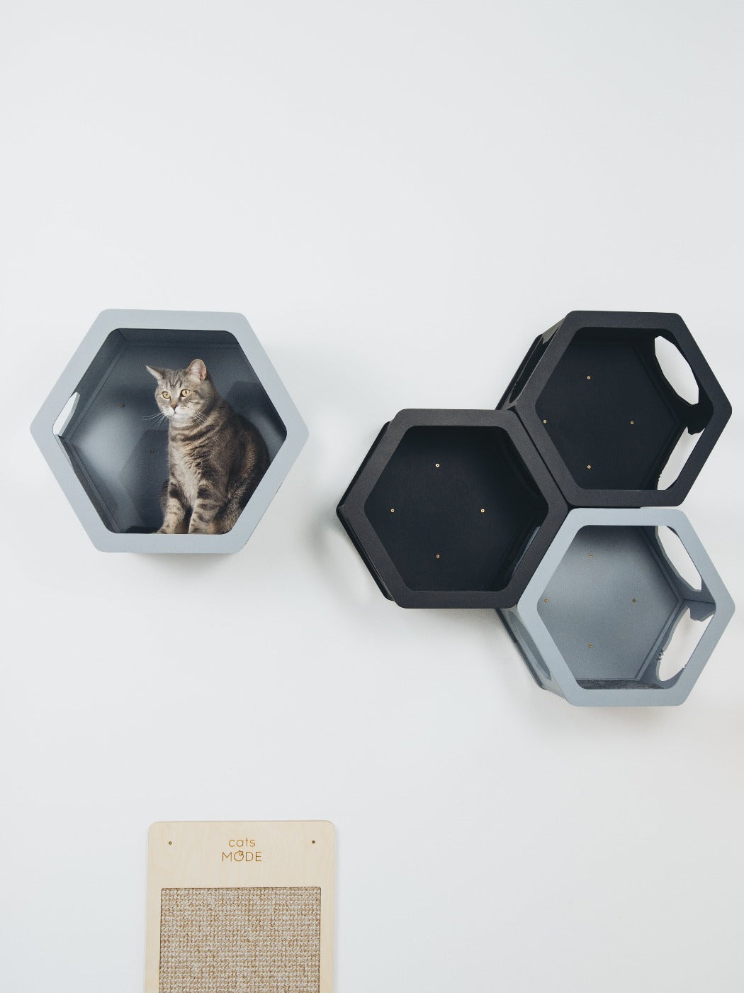 Grey & Black Mixed Cat Set