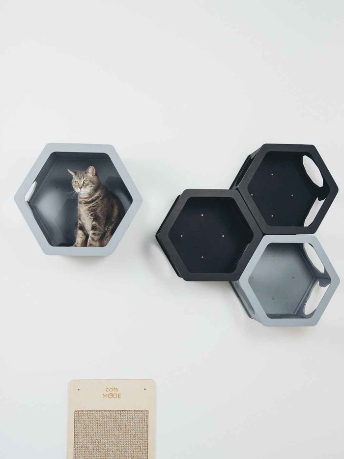 Grey & Black Mixed Cat Set