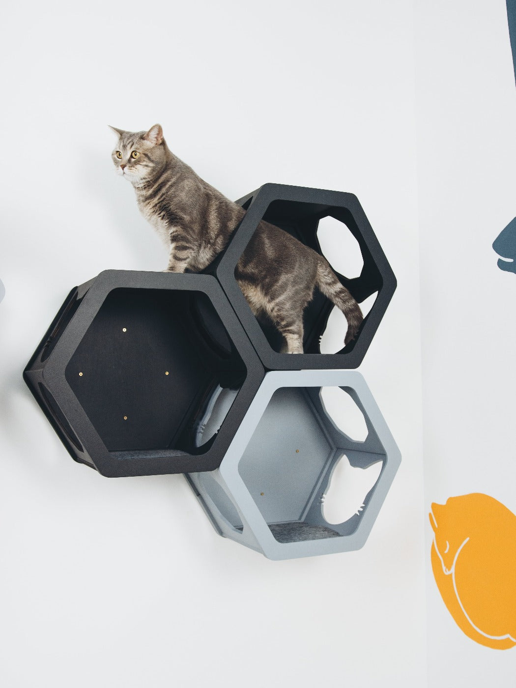 Grey & Black Mixed Cat Set