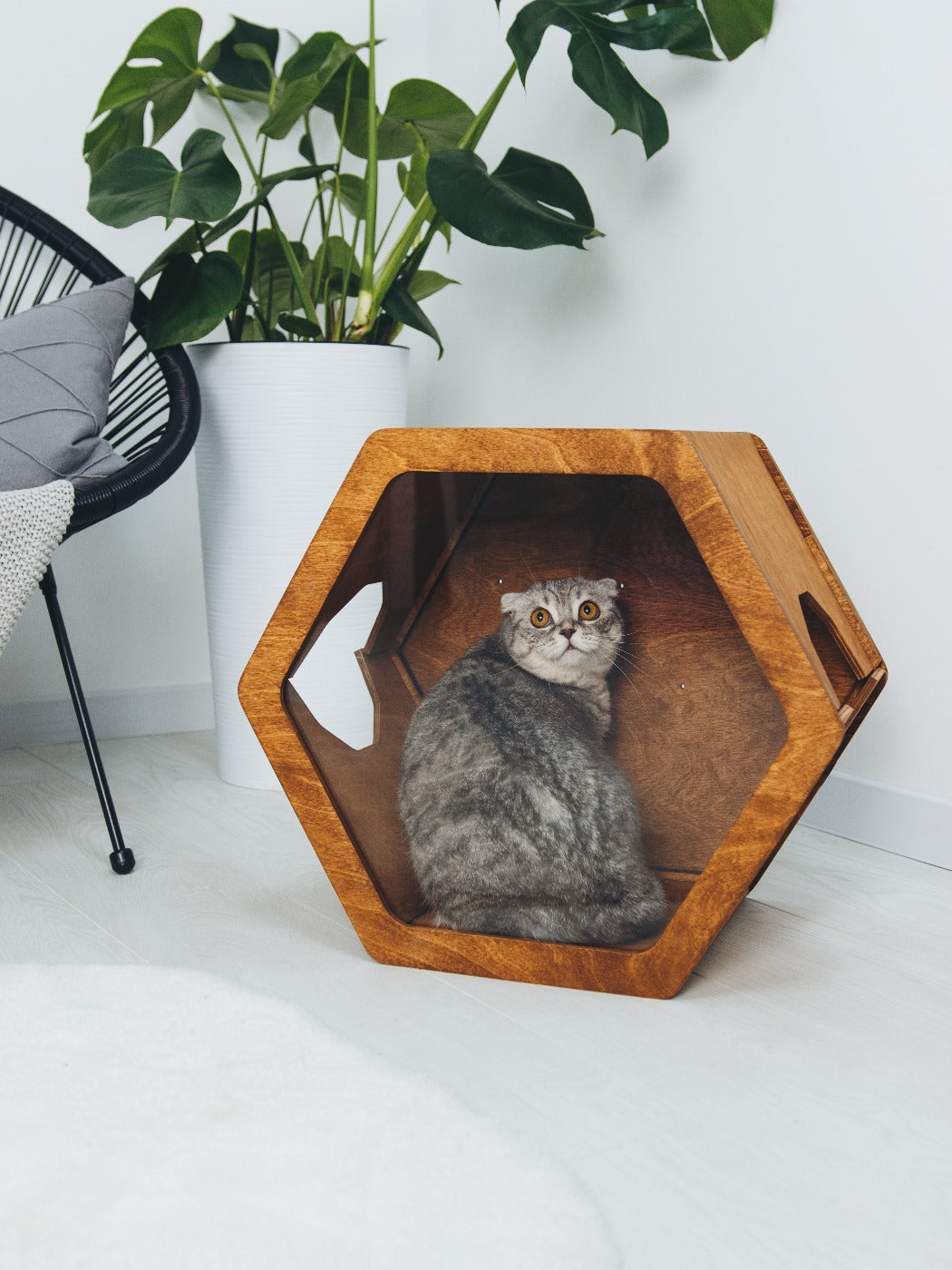 Hexagon Cat House Grey