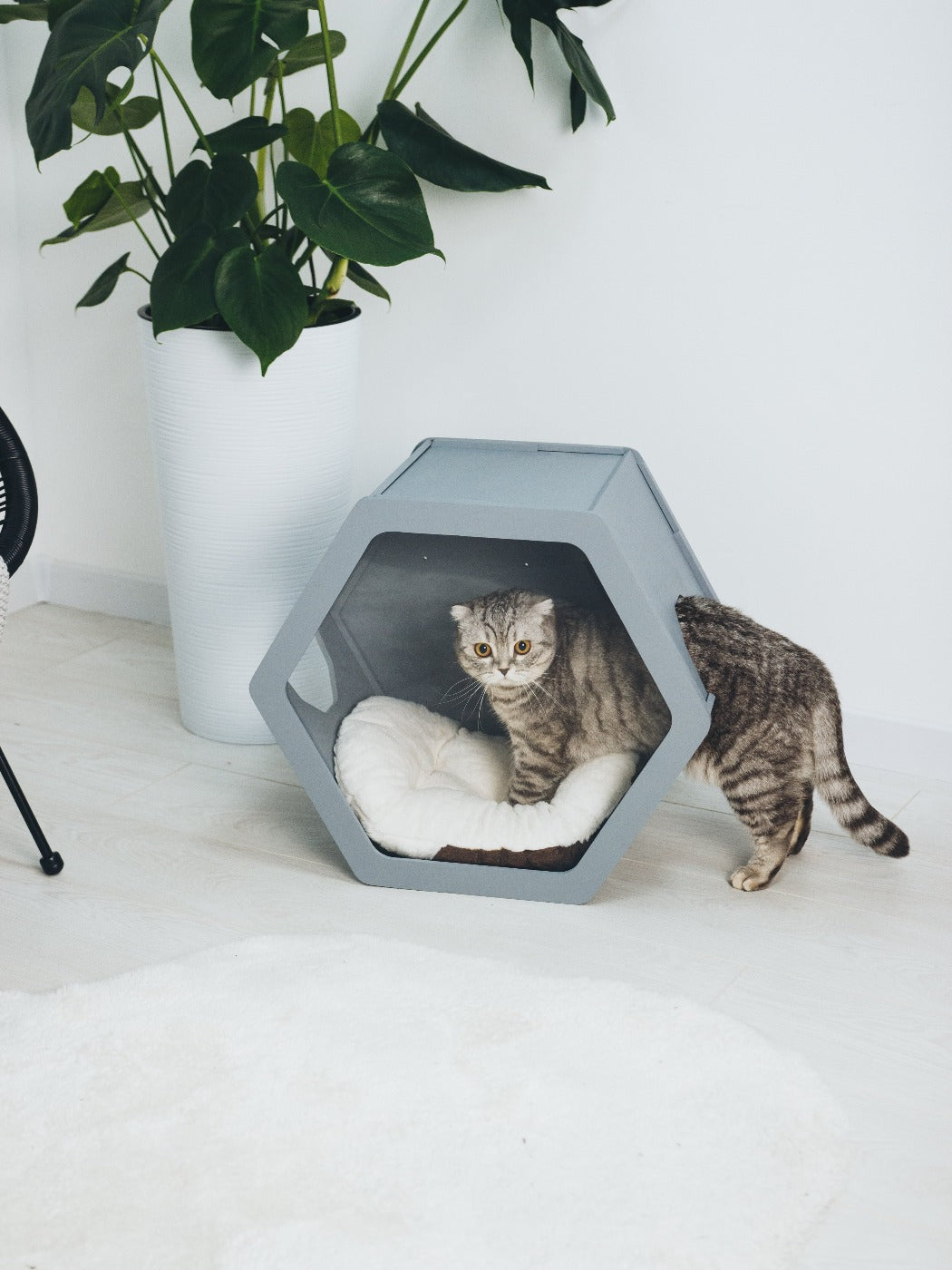 Hexagon Cat House Grey