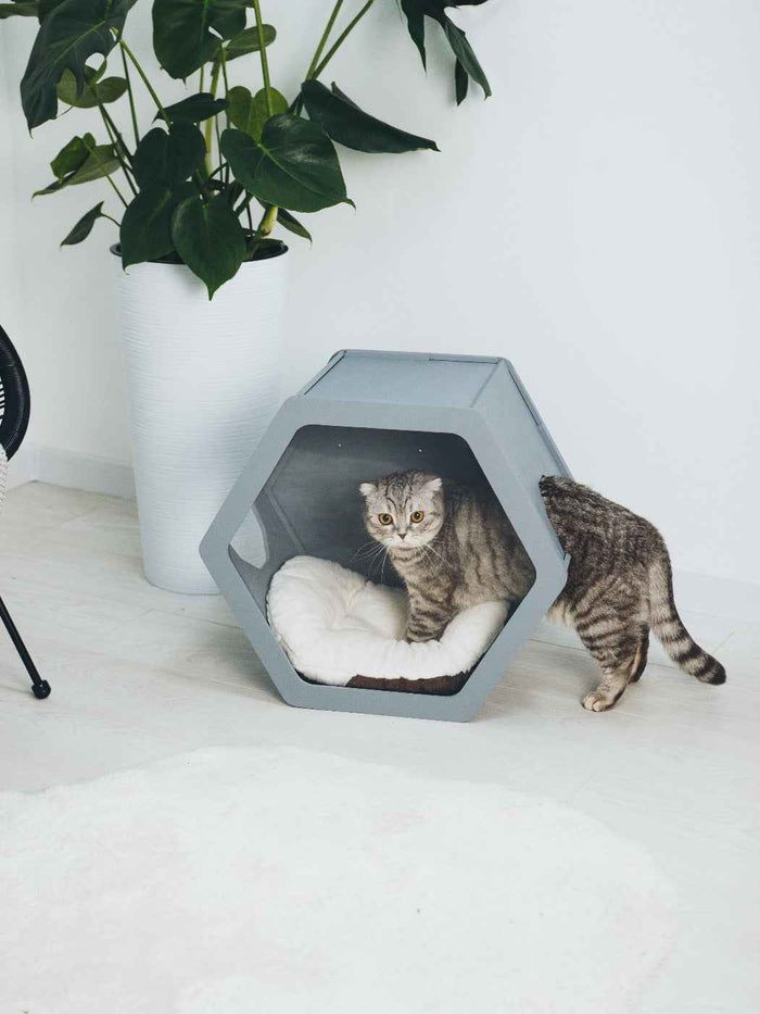 Hexagon Cat House Grey