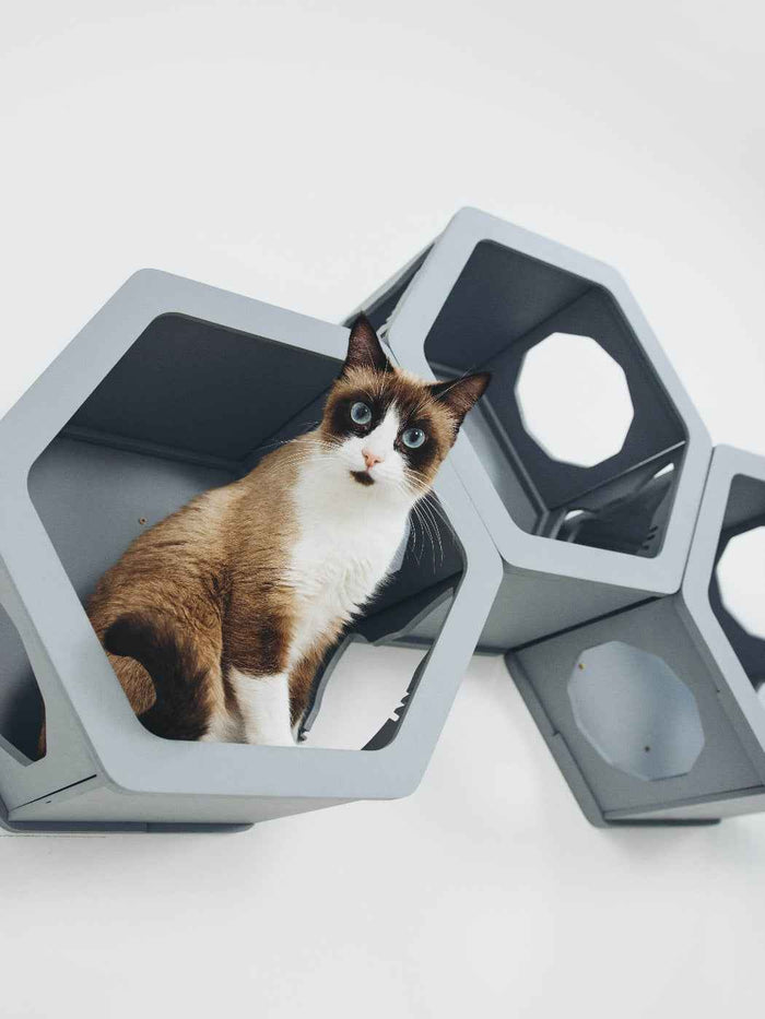 Cat Furniture Shelf Grey