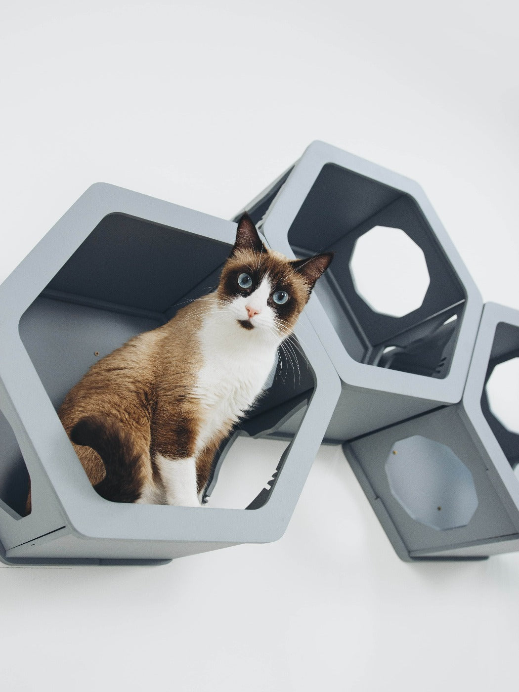 Cat Furniture Shelf White
