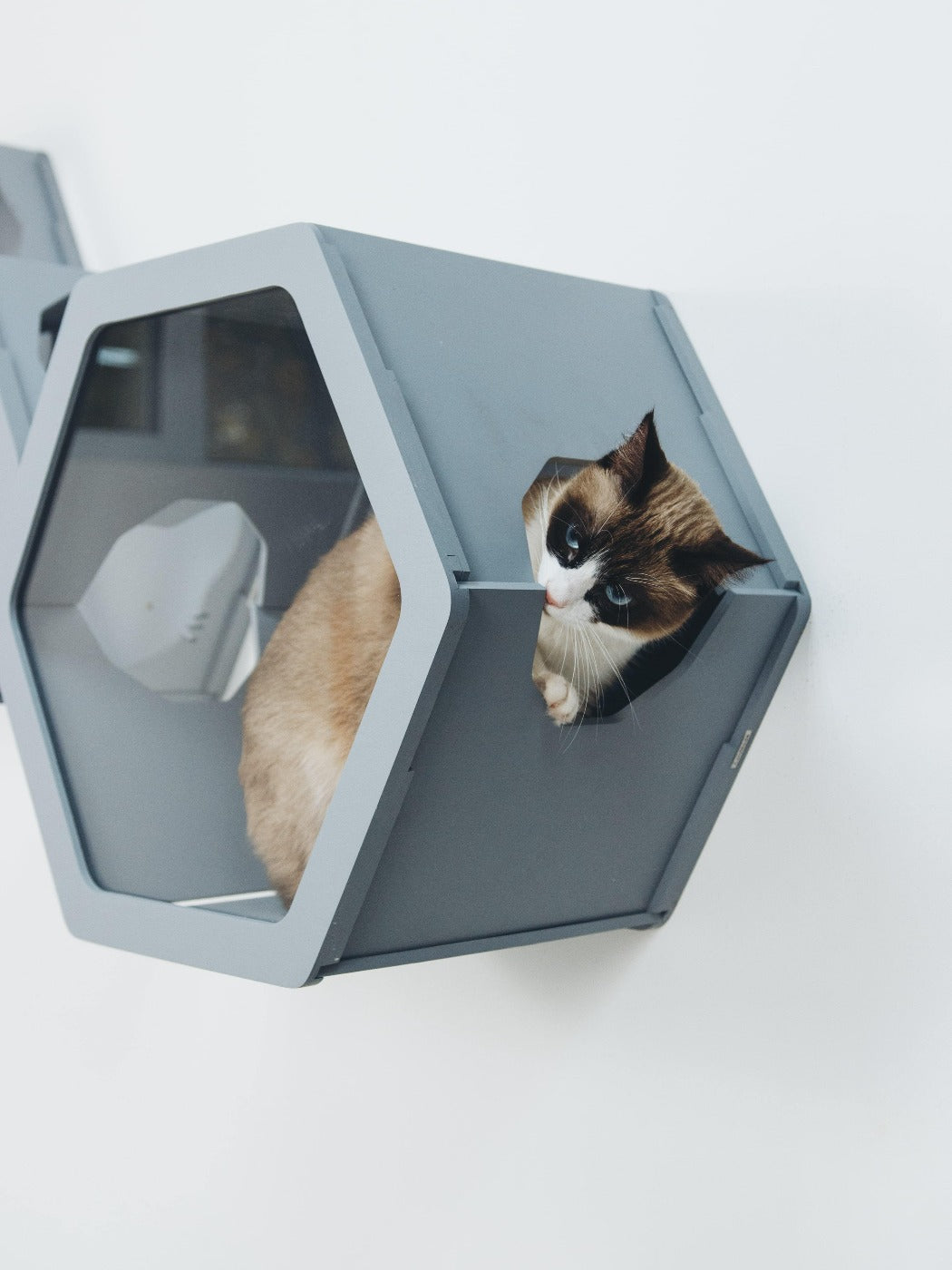 Cat Furniture Shelf Grey