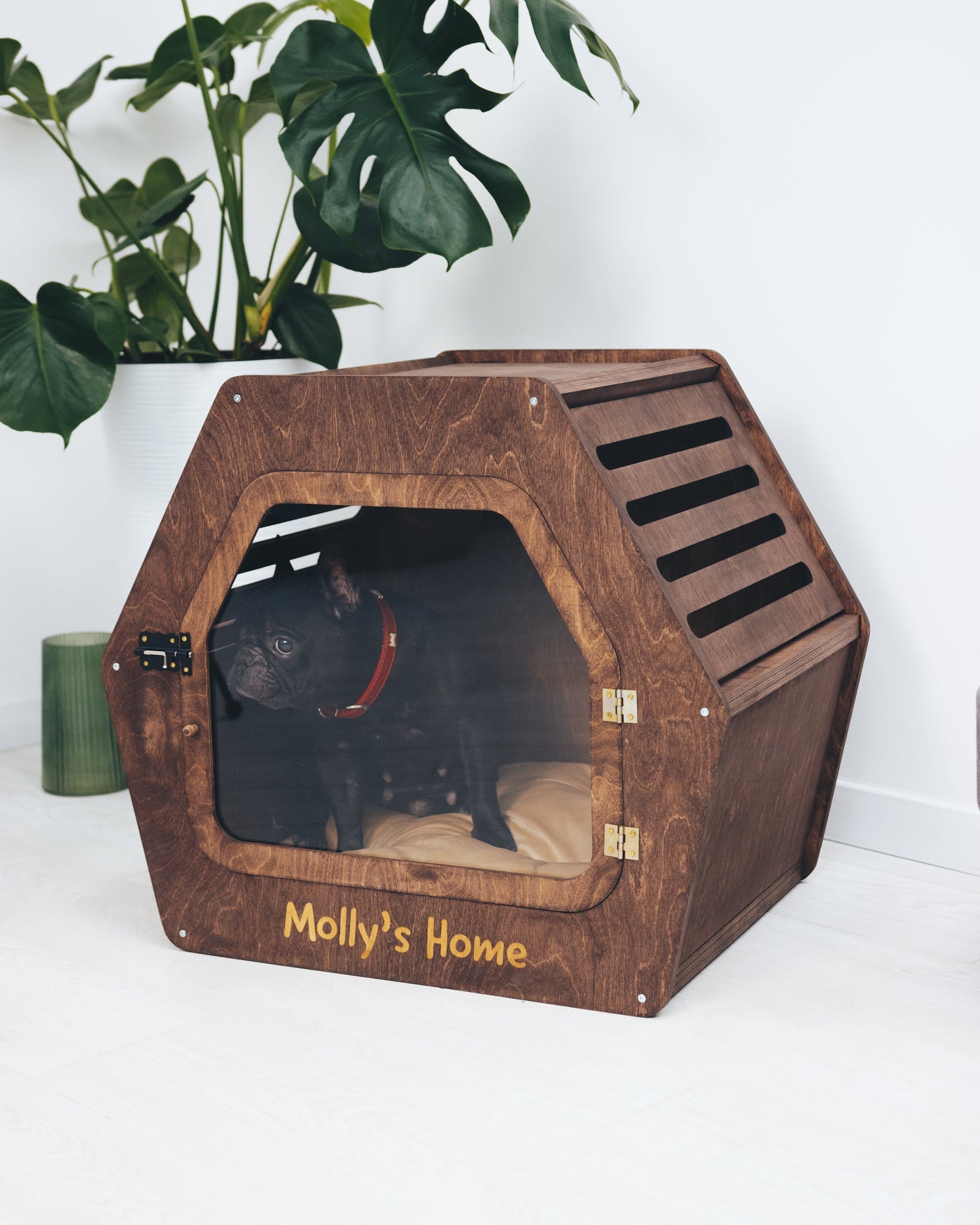 PET HOUSE Color Oak