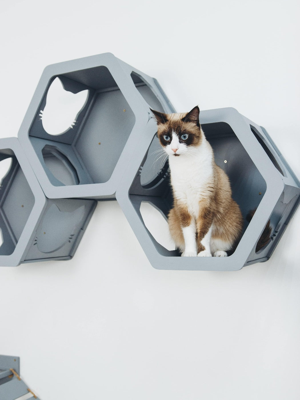Cat Furniture Shelf Grey