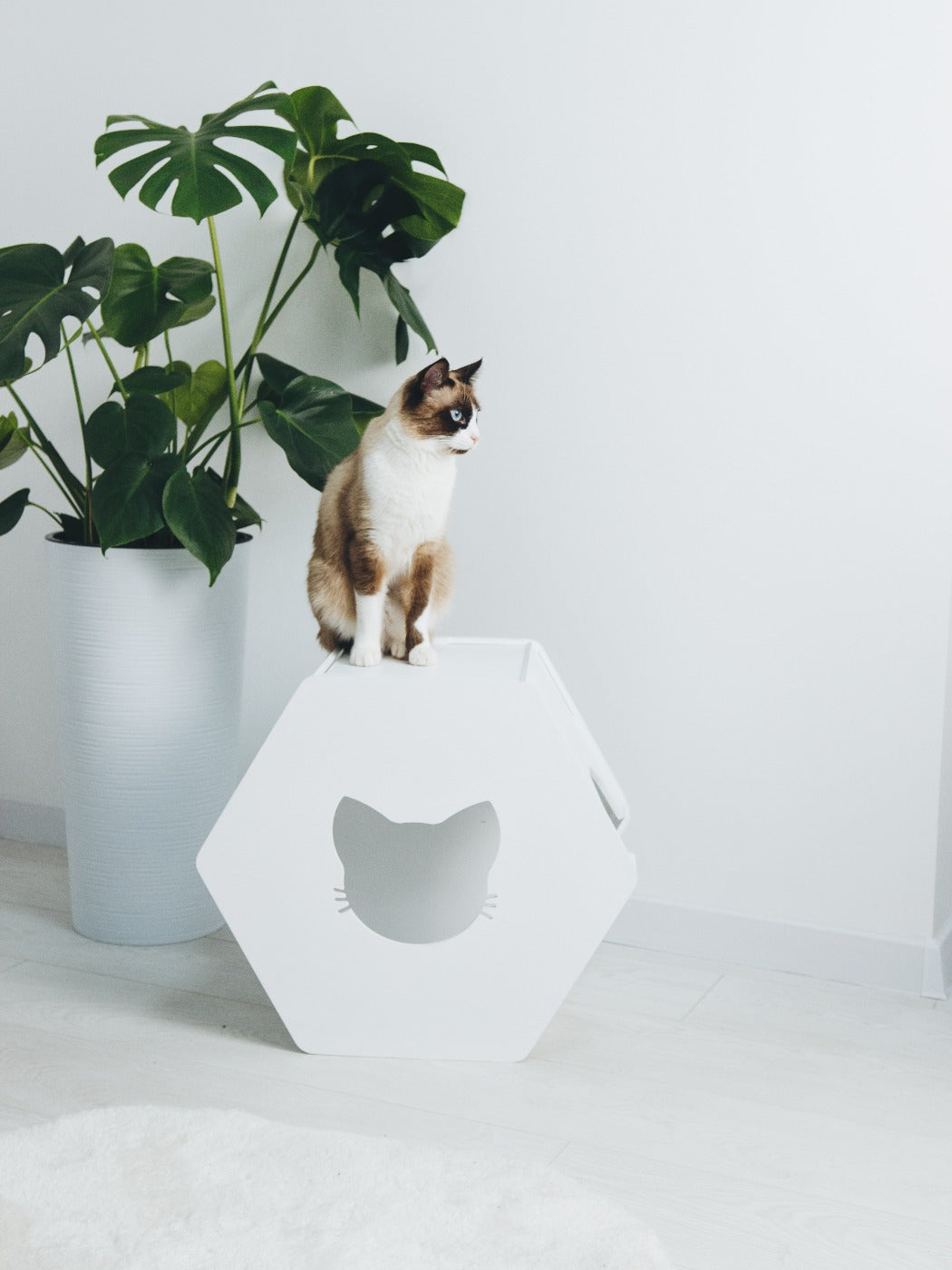 Hexagon Cat House Grey
