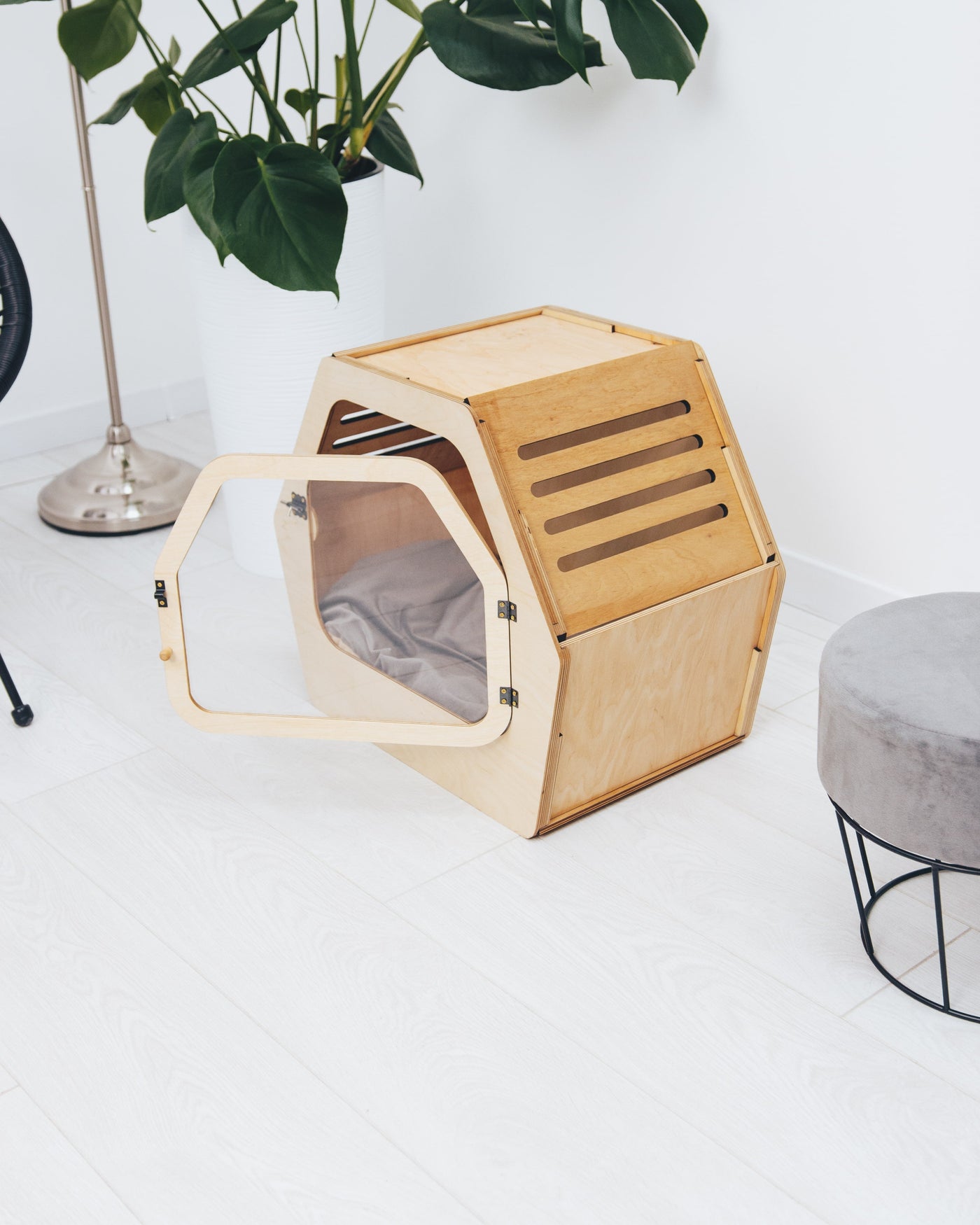 PET HOUSE Color Light