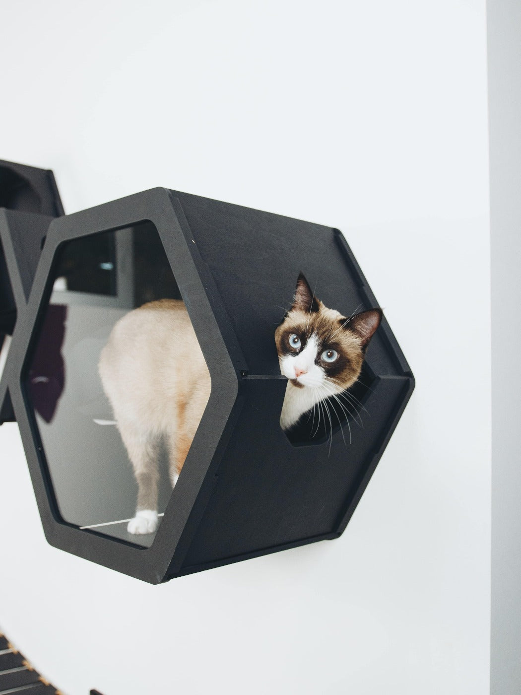 Cat Furniture Shelf Black