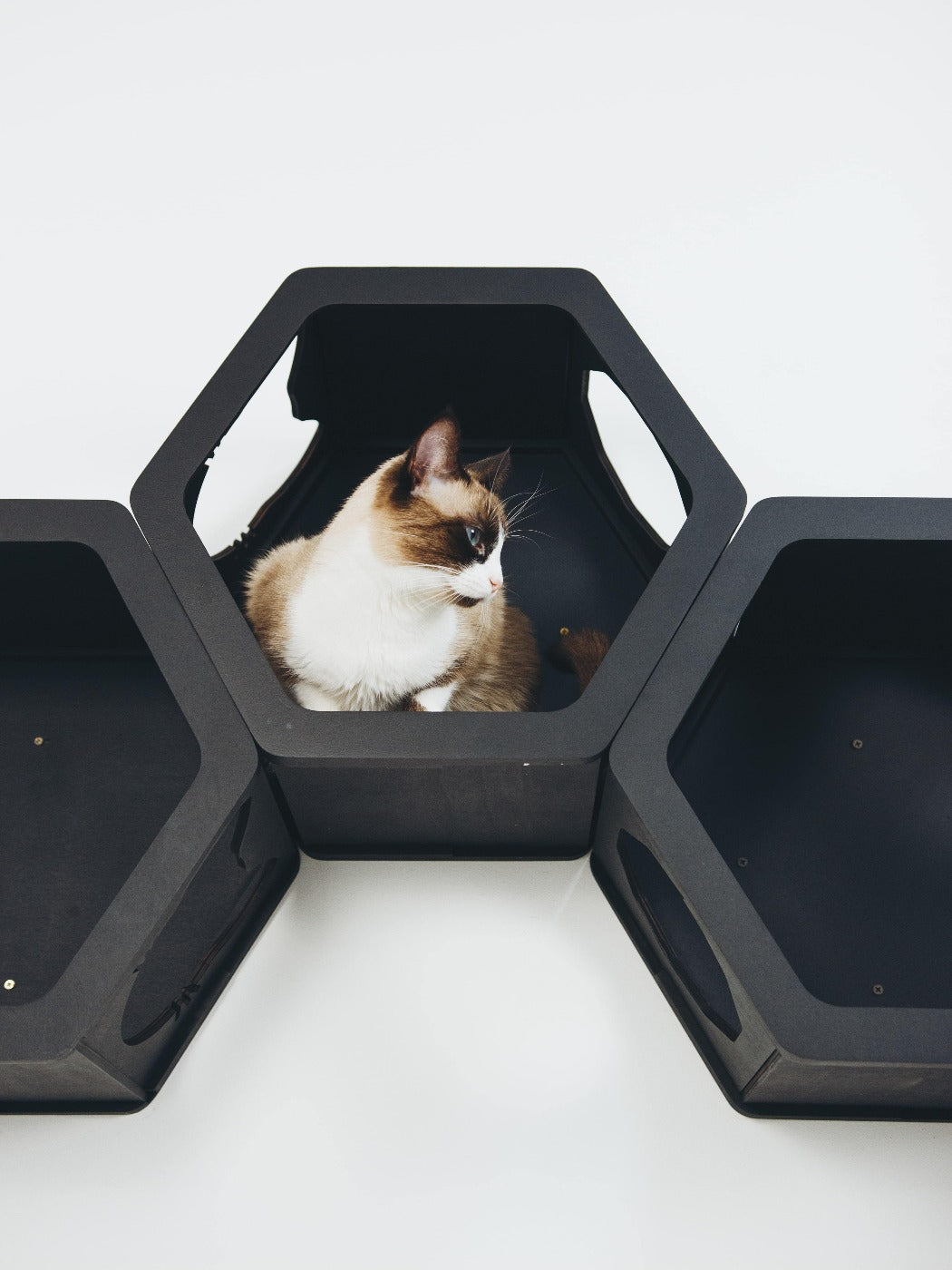 Cat Furniture Shelf Grey