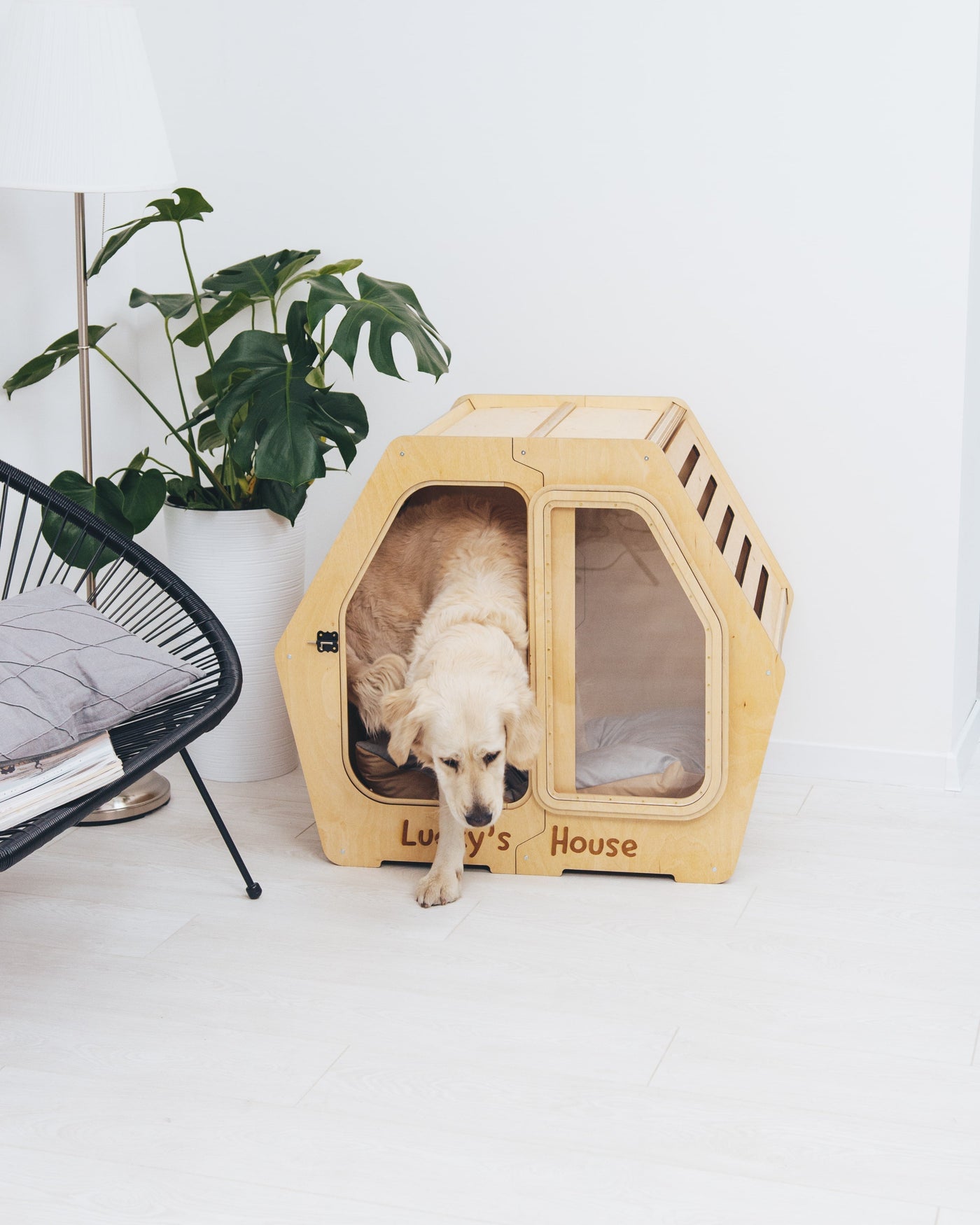 PET HOUSE Color Light