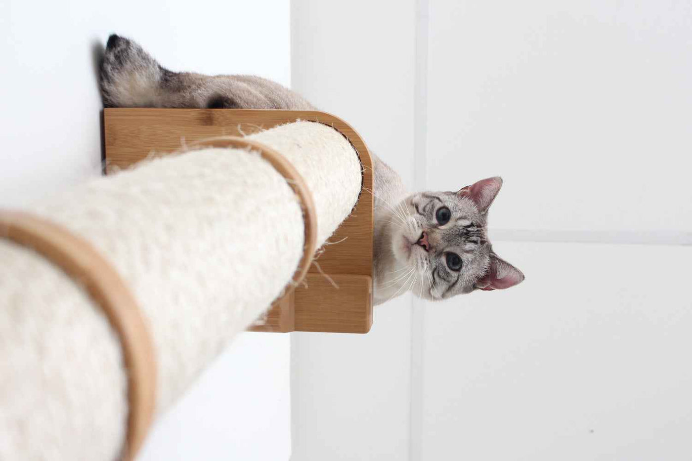 Wall Mounted Cat Climbing Pole
