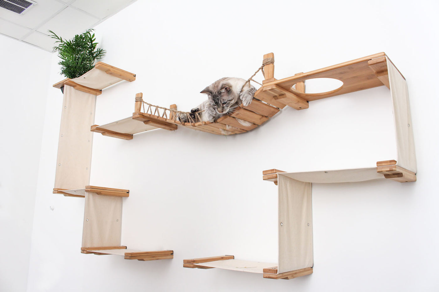 The Temple - Giant Cat Tree on Wall