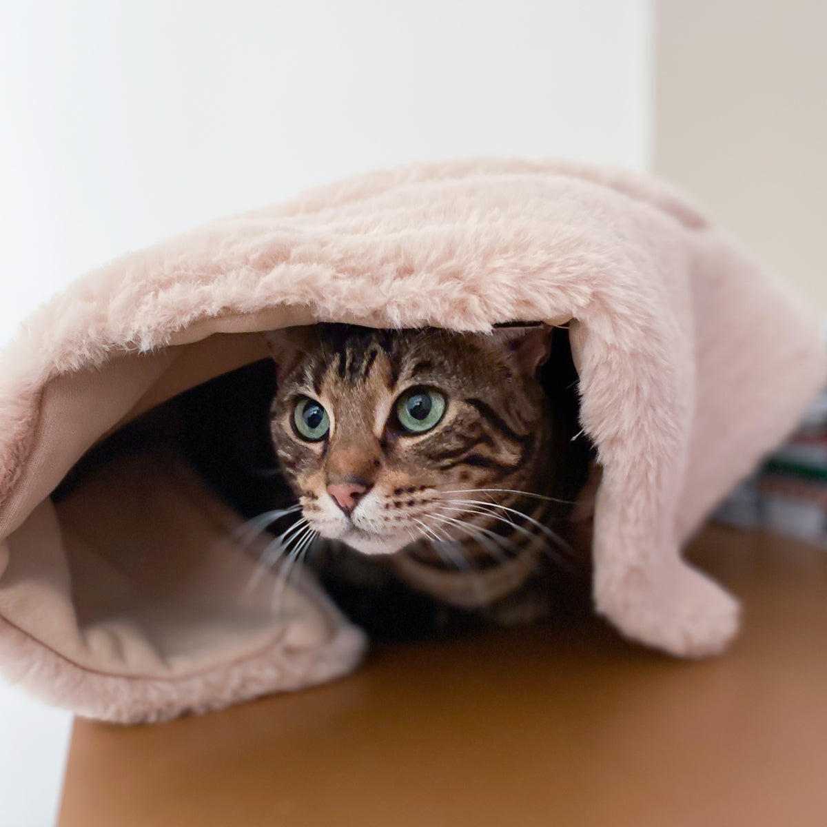 Flip Cat Bed