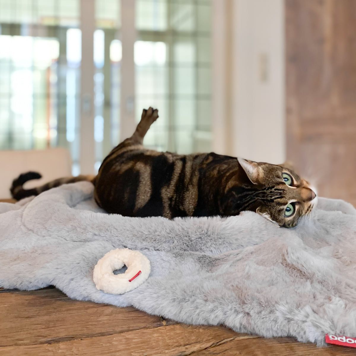 Flip Cat Bed