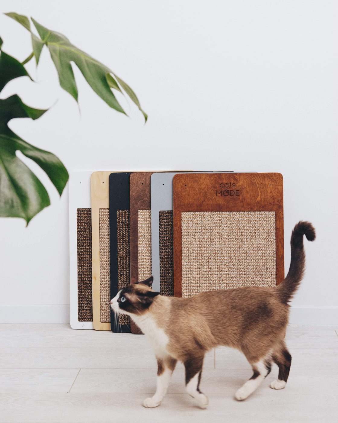 Cat Wall Scratcher Dark Walnut