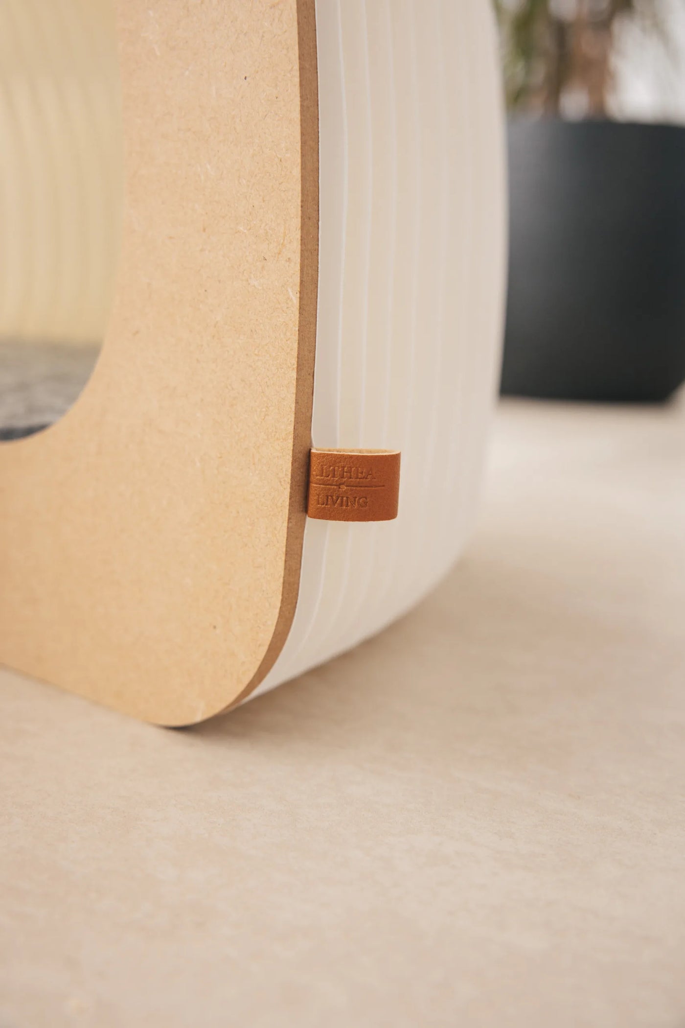 Paper Cat House, view 5