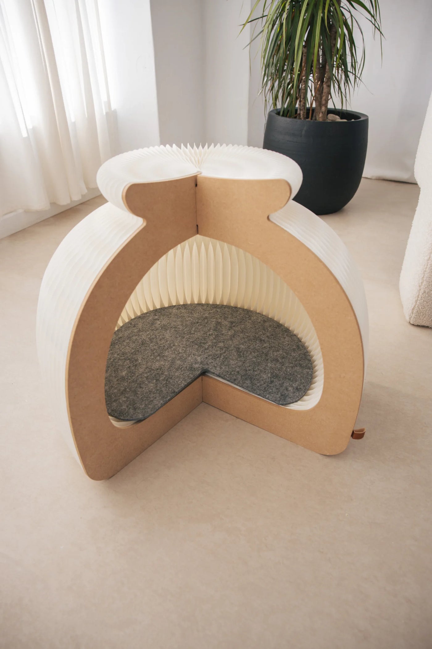 Paper Cat House, view 2