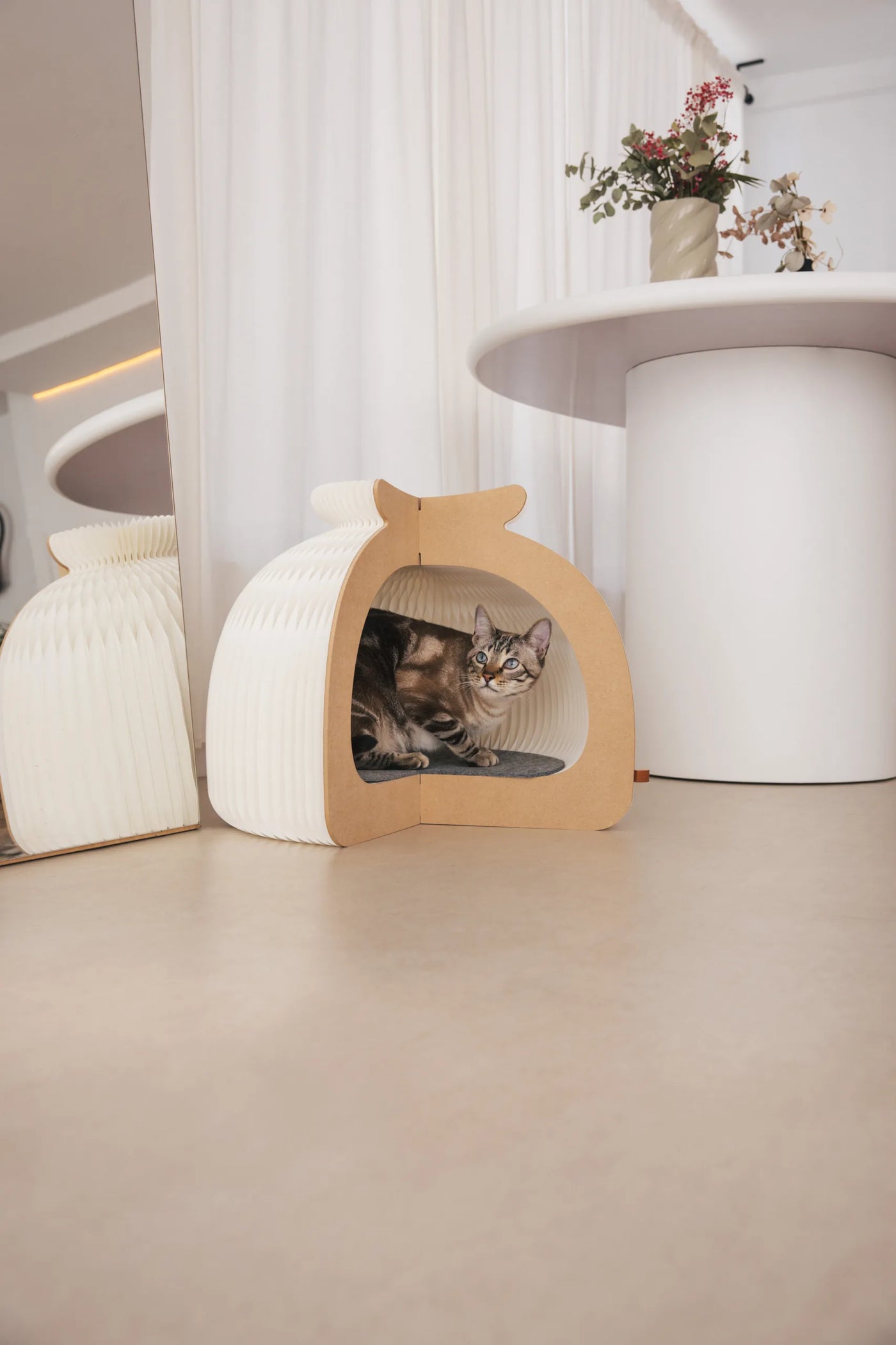Paper Cat House, view 4