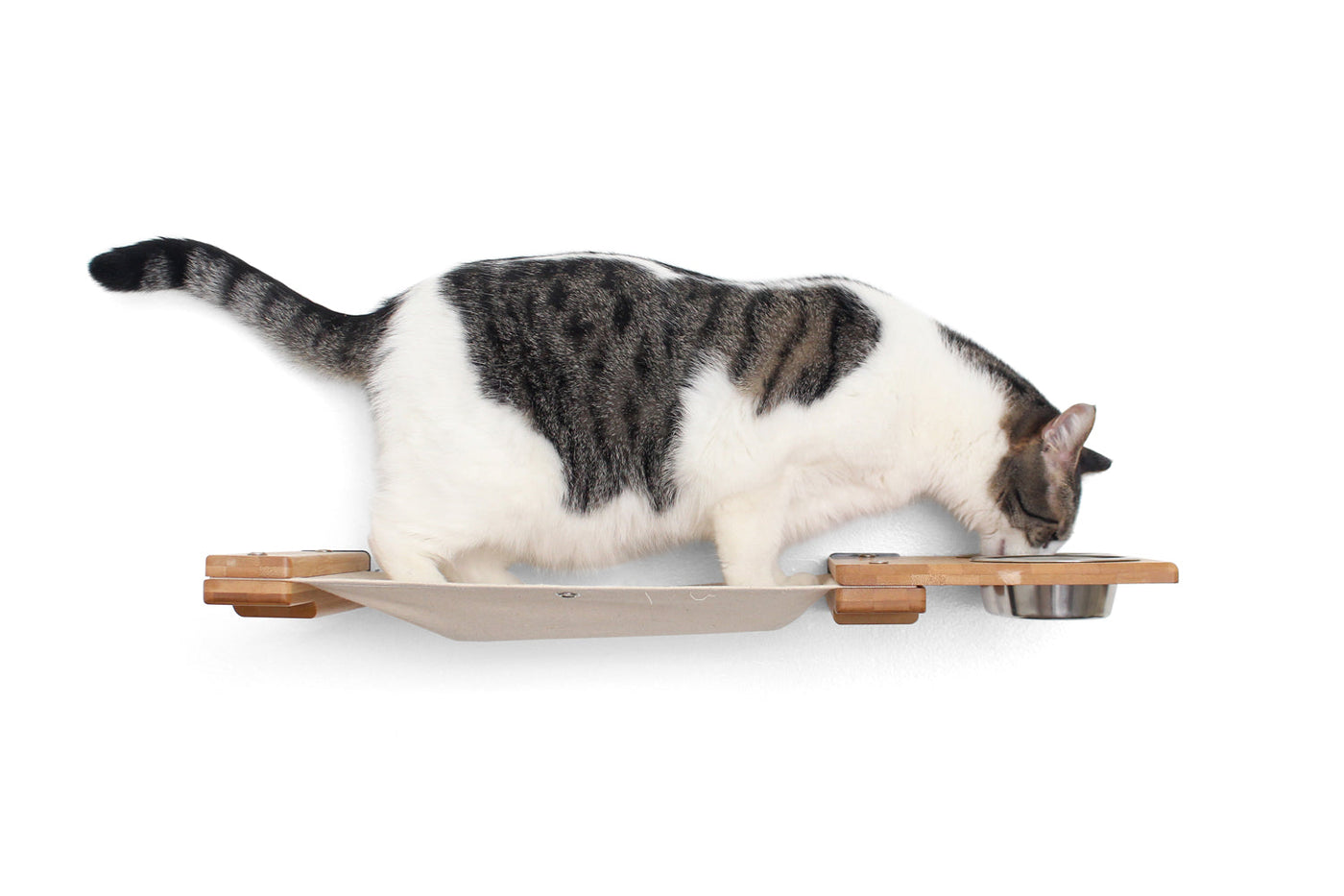 Dog Proof Cat Feeder - Wall-Mounted - Raised