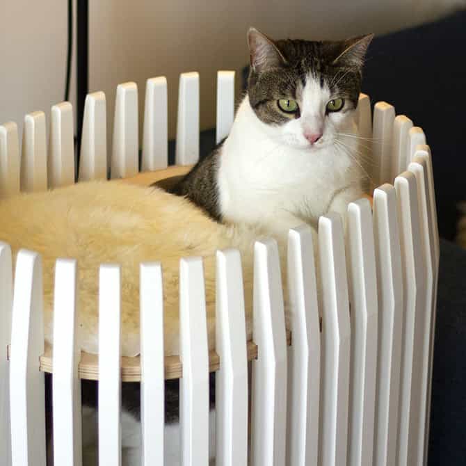 Catissa Colosseum Cat Bed by Catissa, view 4