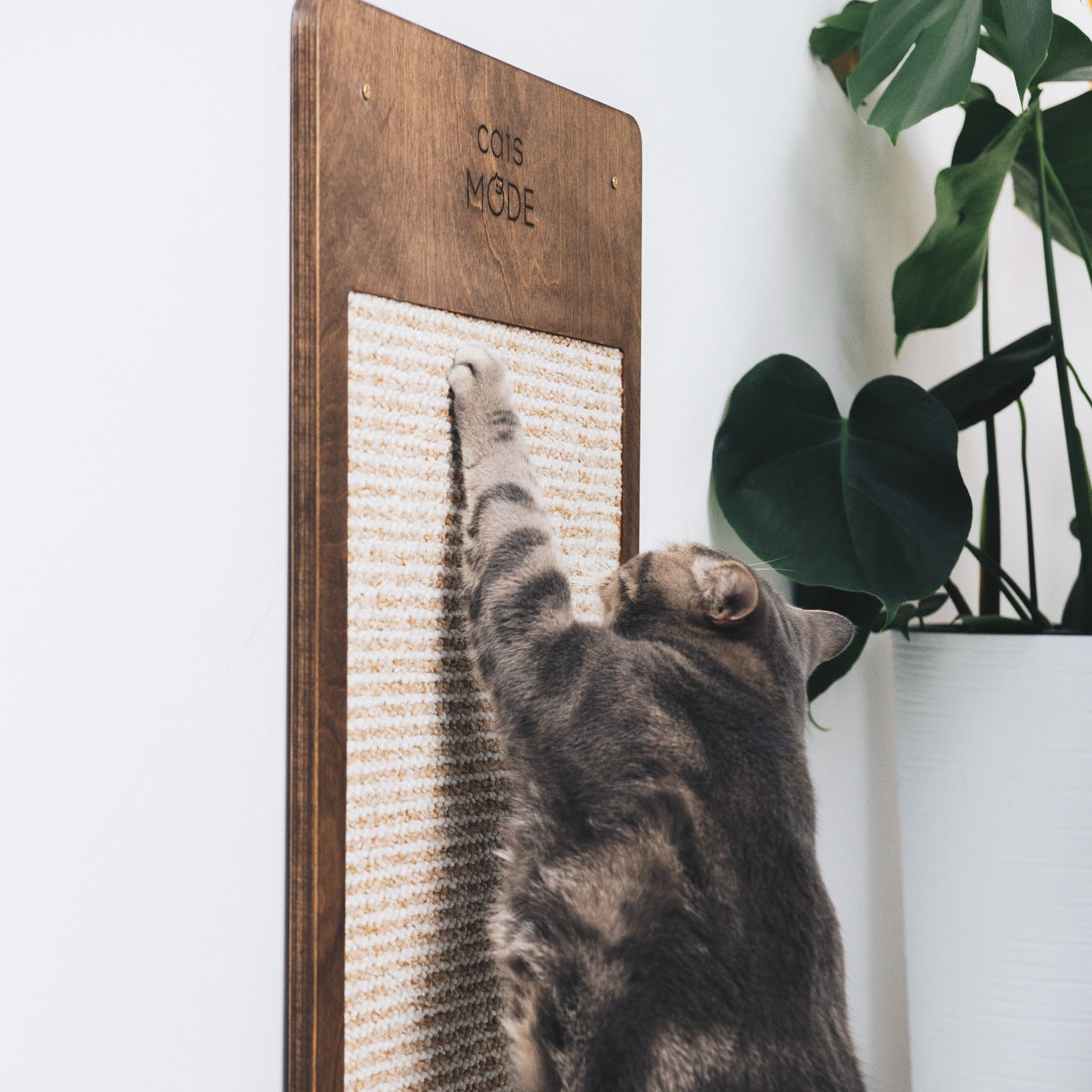 Cat Wall Scratcher Dark Walnut
