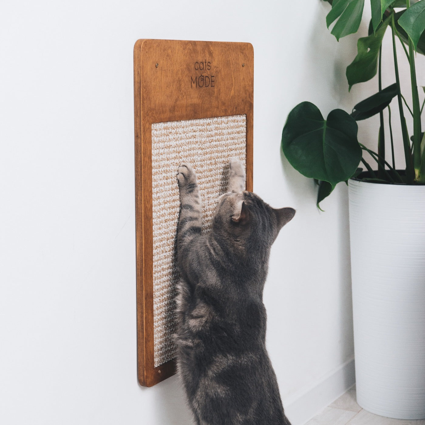 Cat Wall Scratcher Oak