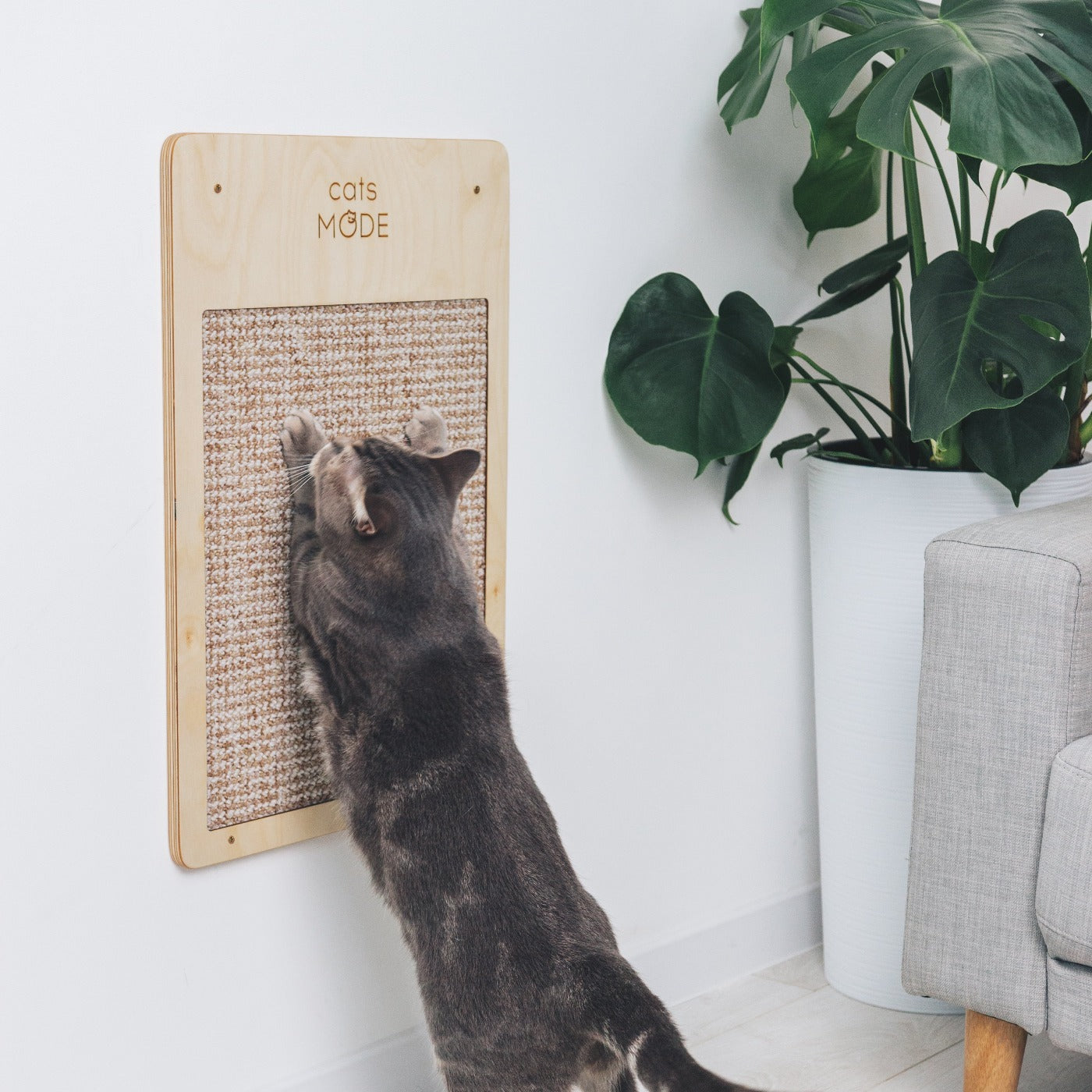 Cat Wall Scratcher Light