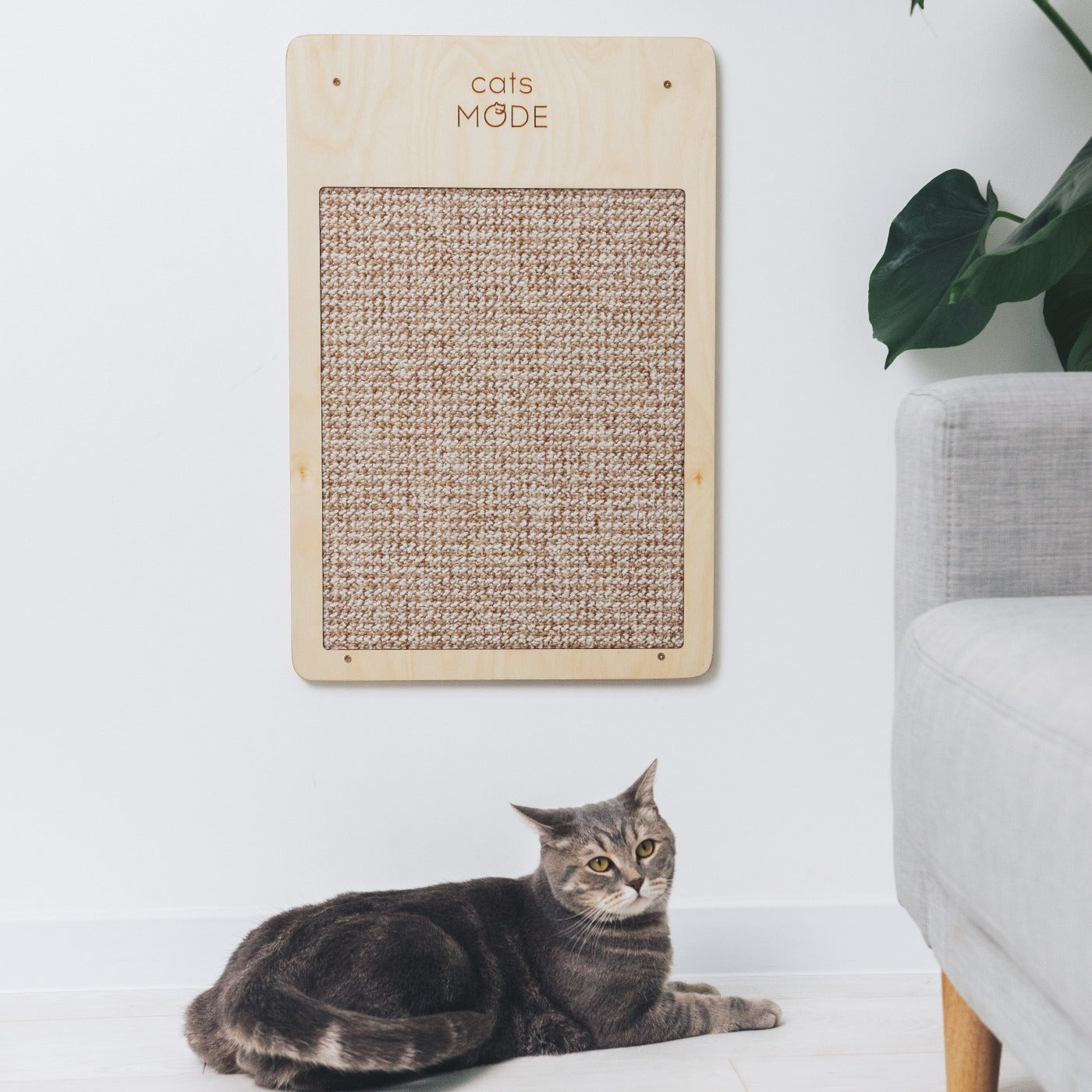 Cat Wall Scratcher Light