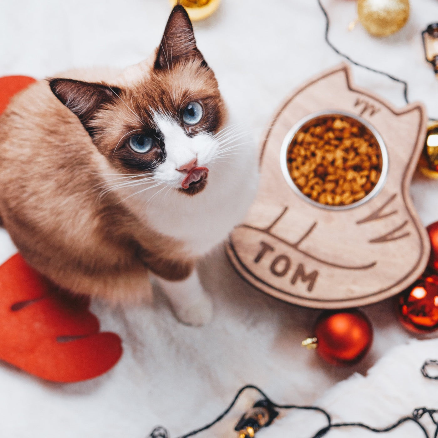 Hungry Cat Bowl (Single)